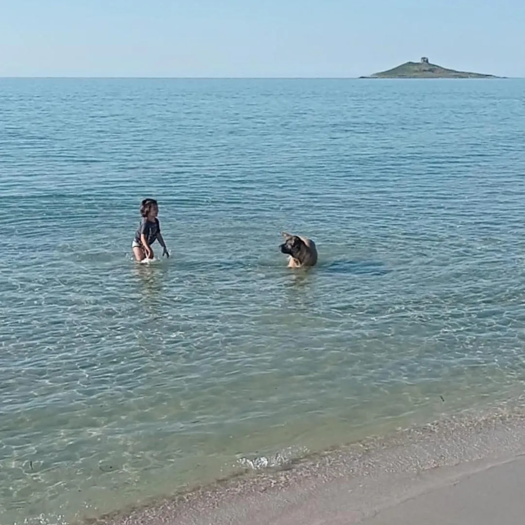 Legni Di Mare Apartment Capaci Italy